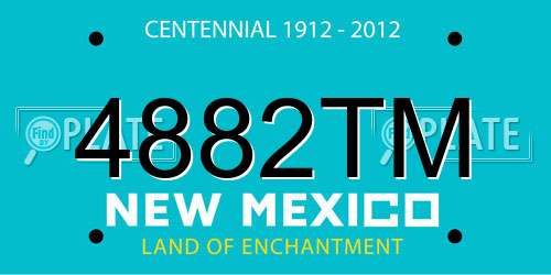 4882TM New Mexico License Plate