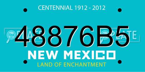 48876B5 New Mexico License Plate