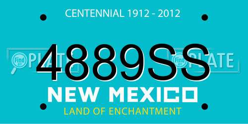 4889SS New Mexico License Plate