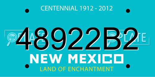 48922B2 New Mexico License Plate
