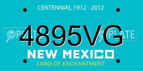 4895VG New Mexico License Plate