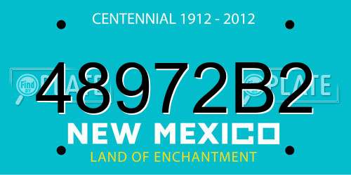 48972B2 New Mexico License Plate