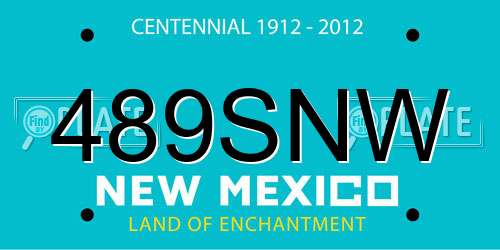 489SNW New Mexico License Plate