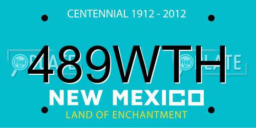 489WTH New Mexico License Plate