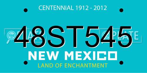 48ST545 New Mexico License Plate