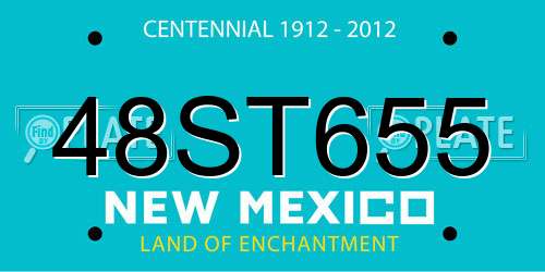 48ST655 New Mexico License Plate