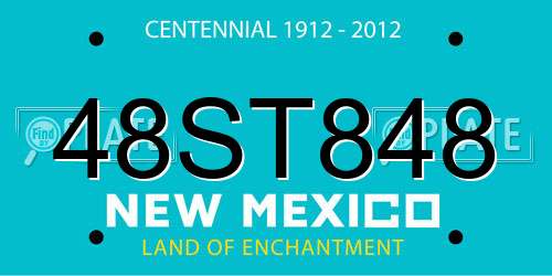 48ST848 New Mexico License Plate