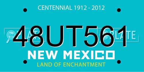 48UT561 New Mexico License Plate