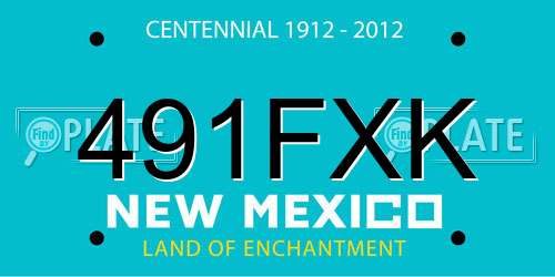 491FXK New Mexico License Plate