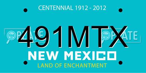 491MTX New Mexico License Plate