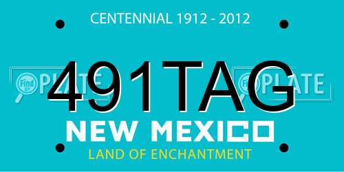 491TAG New Mexico License Plate