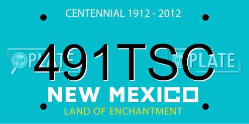 491TSC New Mexico License Plate