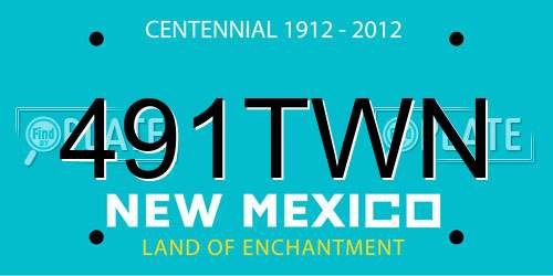 491TWN New Mexico License Plate