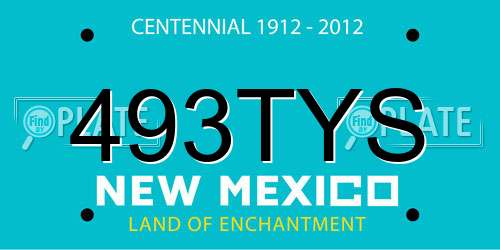 493TYS New Mexico License Plate