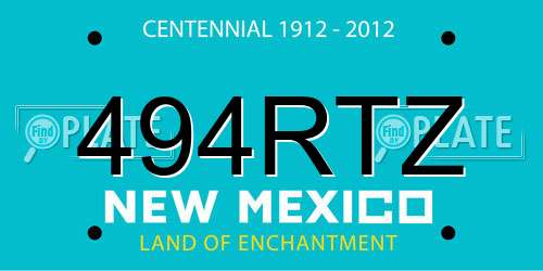 494RTZ New Mexico License Plate