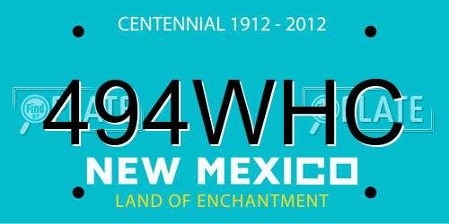 494WHC New Mexico License Plate
