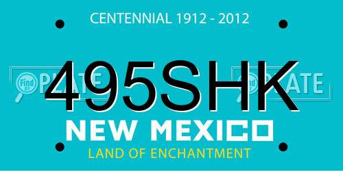 495SHK New Mexico License Plate