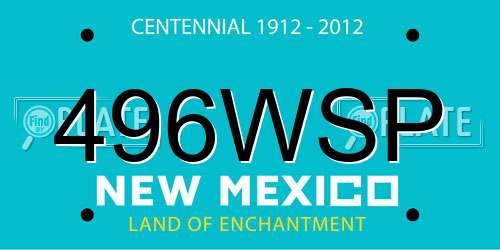 496WSP New Mexico License Plate