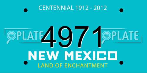 4971 New Mexico License Plate