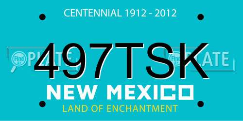 497TSK New Mexico License Plate