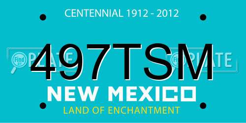 497TSM New Mexico License Plate
