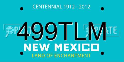 499TLM New Mexico License Plate