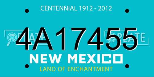 4A17455 New Mexico License Plate