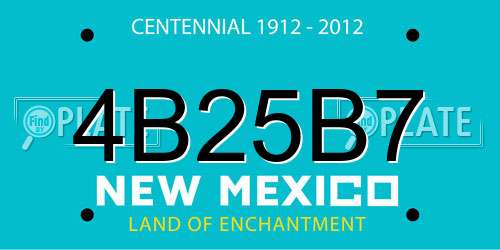 4B25B7 New Mexico License Plate