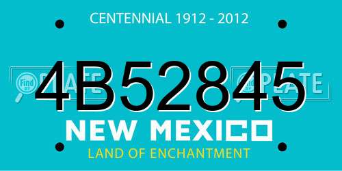 4B52845 New Mexico License Plate