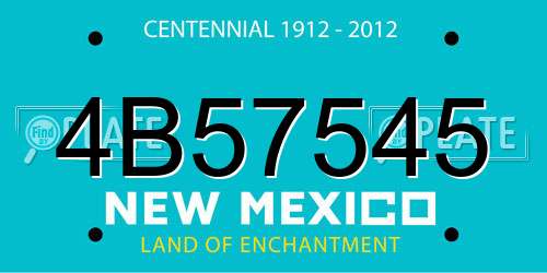 4B57545 New Mexico License Plate
