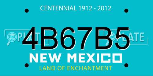 4B67B5 New Mexico License Plate