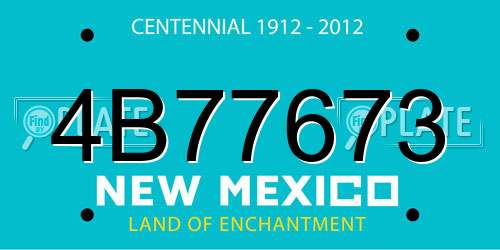 4B77673 New Mexico License Plate