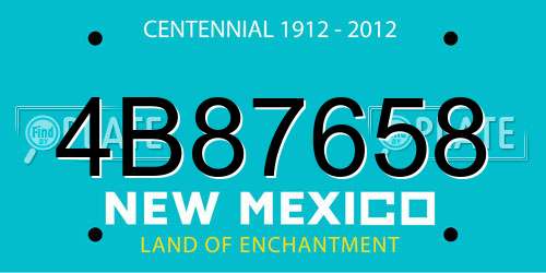 4B87658 New Mexico License Plate