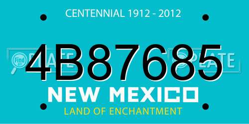 4B87685 New Mexico License Plate