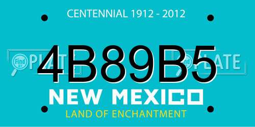 4B89B5 New Mexico License Plate