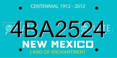 4BA2524 New Mexico License Plate
