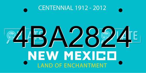 4BA2824 New Mexico License Plate