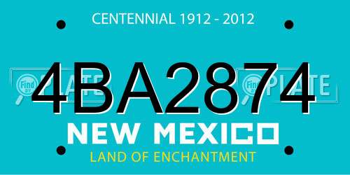 4BA2874 New Mexico License Plate