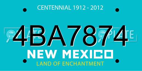 4BA7874 New Mexico License Plate