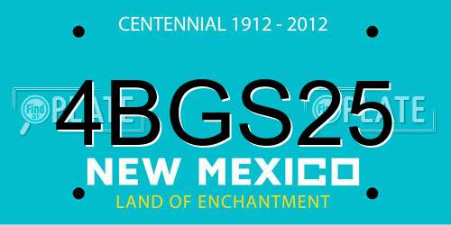 4BGS25 New Mexico License Plate