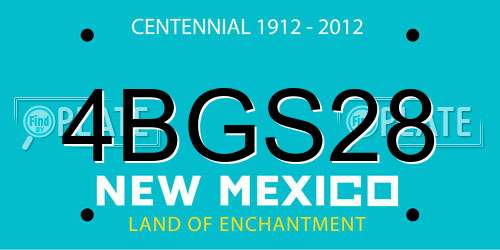 4BGS28 New Mexico License Plate