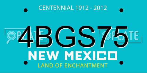 4BGS75 New Mexico License Plate