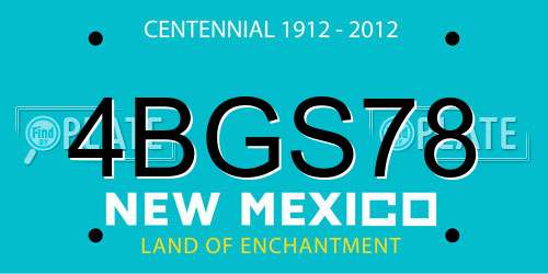 4BGS78 New Mexico License Plate