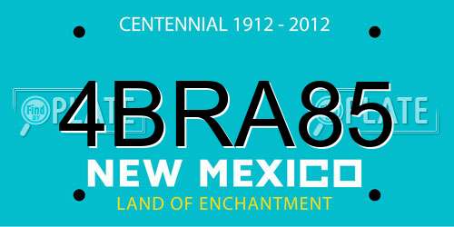 4BRA85 New Mexico License Plate