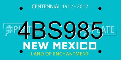 4BS985 New Mexico License Plate