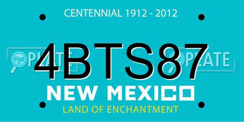 4BTS87 New Mexico License Plate
