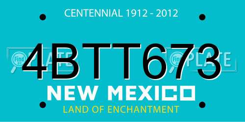 4BTT673 New Mexico License Plate