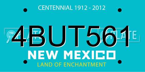 4BUT561 New Mexico License Plate