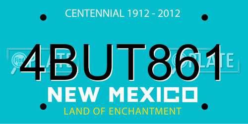 4BUT861 New Mexico License Plate