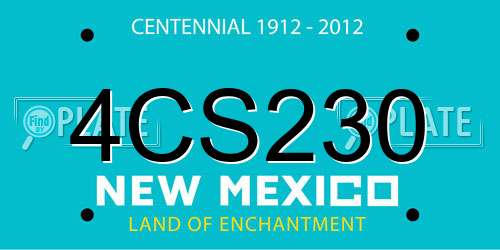 4CS230 New Mexico License Plate